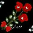 فاطمة يحيى