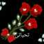فاطمة يحيى