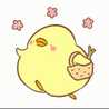 Pear Yun