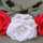 Rosa Repetto Rosa Repetto