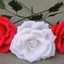 Rosa Repetto