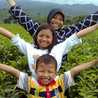 Fajri Dyah Handayani Fajri Dyah Handayani