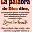 Andres Taibo