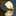 steve_e_24