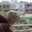 Mahnoor Khalid Mahnoor Khalid