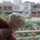 Mahnoor Khalid