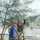 titar