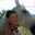 joelle.gandara joelle.gandara