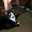 kclark71683 kclark71683