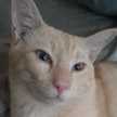 กวินท์ กวนพา
