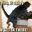the cat lady