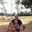 marybeth.dykstra.3 marybeth.dykstra.3