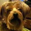 Ms.Kipper