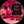 rawaa_fuchsia_kitchen