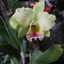 Maria jose PM
