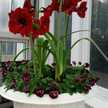 jean.nelson.5076