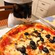 Gaia Gatti
