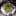 socraticmethod13