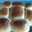 myriela.mireille myriela.mireille
