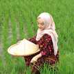 Firda Hani Muhtadi