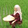 Firda Hani Muhtadi