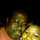 brandy.williams.7568