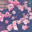 Hadeel Abdullah