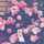 Hadeel Abdullah Hadeel Abdullah