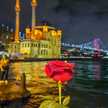 Asmaa Abo
