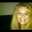 shaunaq68