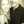 steph557