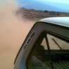 Bosbouer