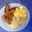 winifred.speight