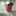 josh.jackson.96742 josh.jackson.96742