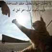 HS Mahmoud