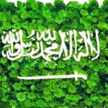  الورده المجروحه 