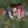 Yessica Renzy Yessica Renzy