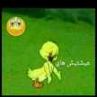 ام جود