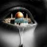 Eiman Alsaed Eiman Alsaed