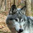 mike.tison.9