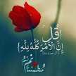 hano ahmad