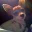 Jody Davila