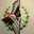 afnan.khalid.507