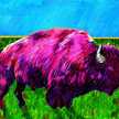pinkbuffalo