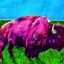 pinkbuffalo