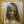 ALISHA 