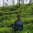 Shalini Tomar
