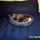 Jason_Larkham Jason_Larkham