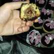 هدى للطبخ