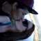 iluvmybbyboy916